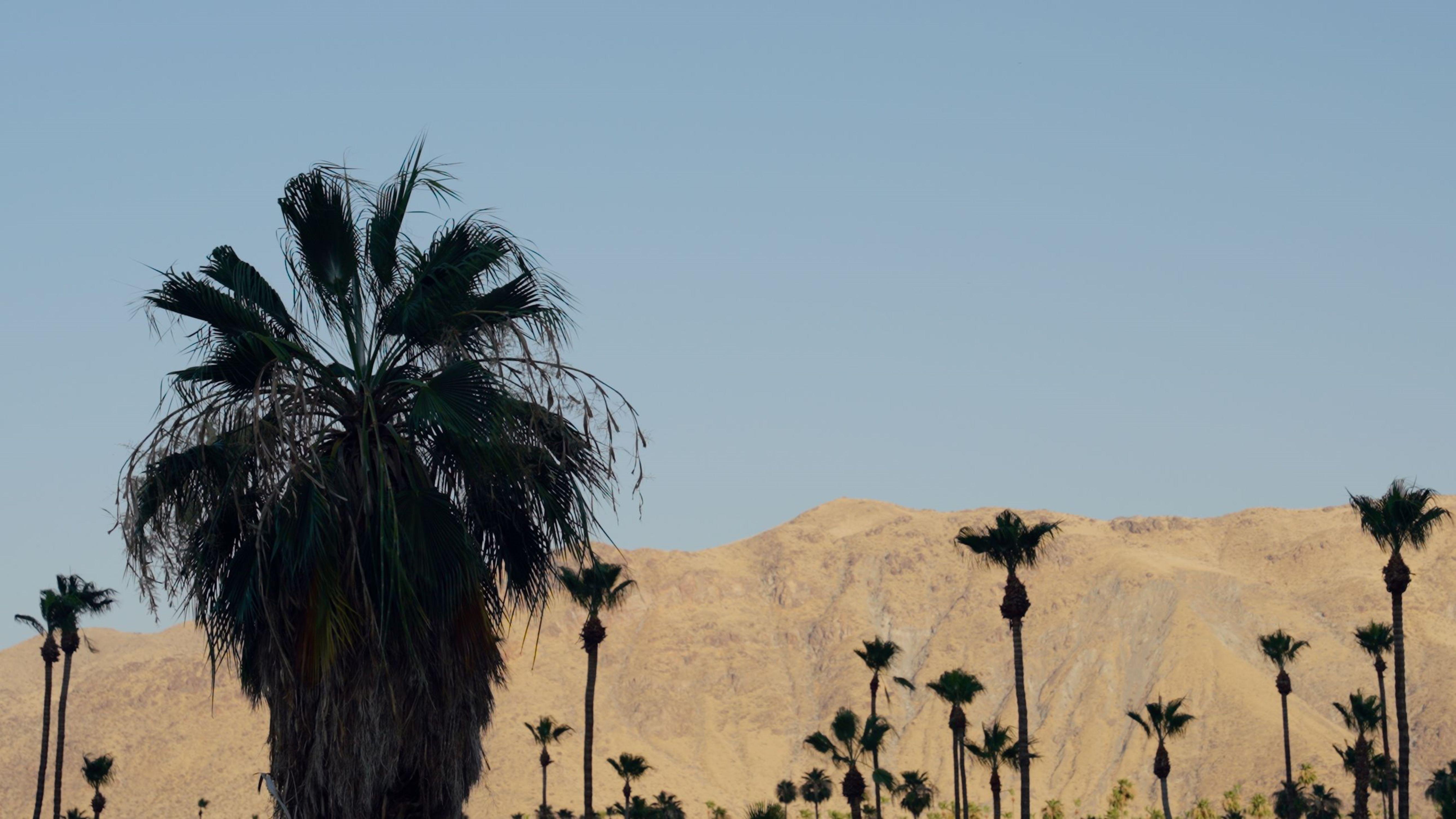 Royal Sun Palm Springs Hotel Ngoại thất bức ảnh