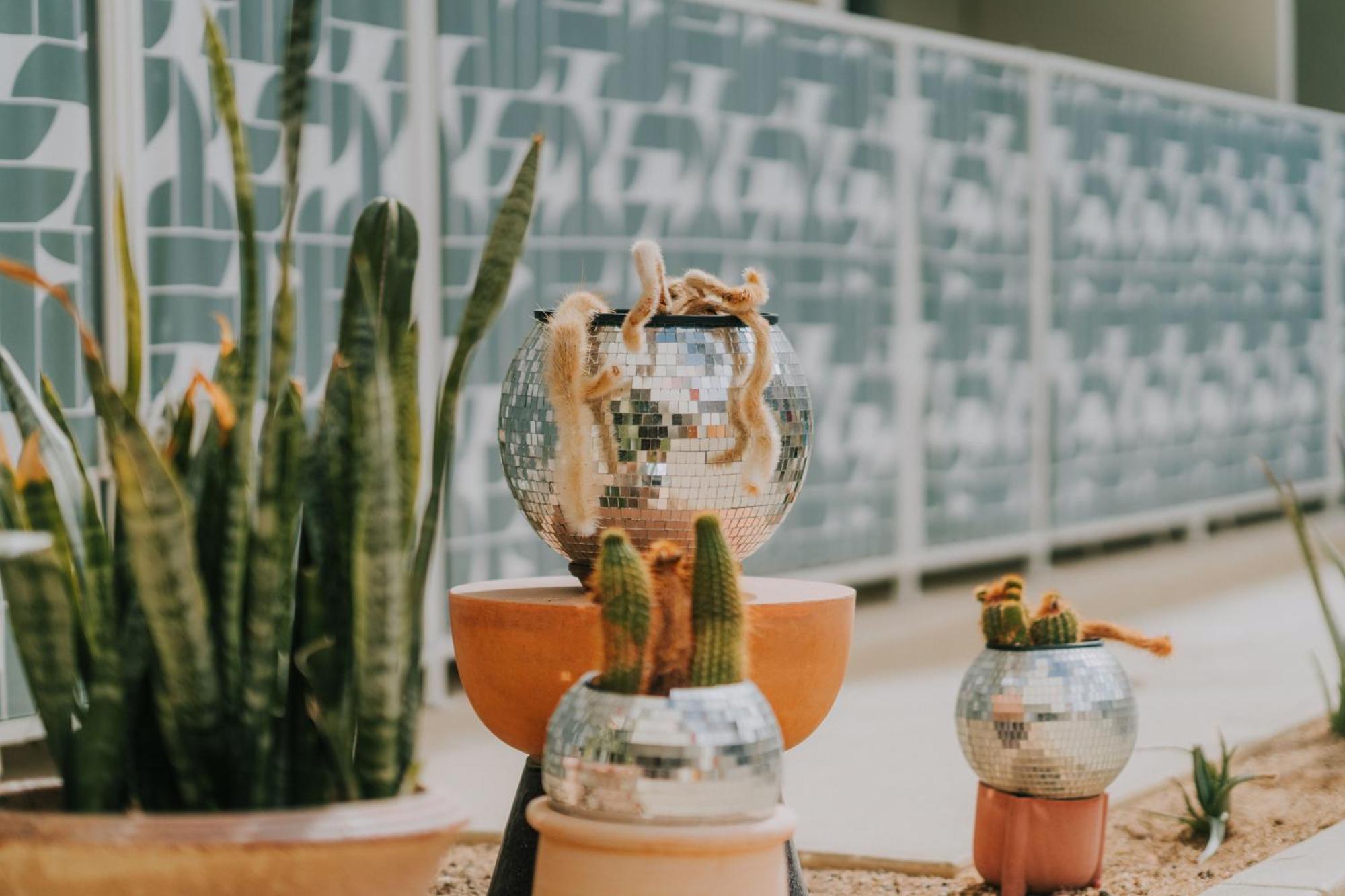 Royal Sun Palm Springs Hotel Ngoại thất bức ảnh