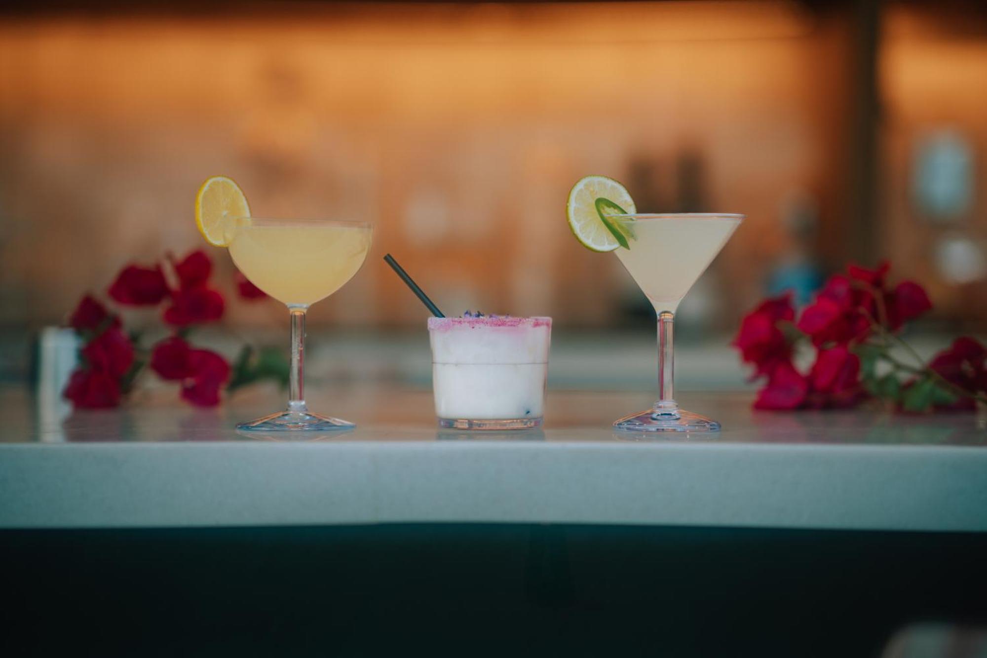 Royal Sun Palm Springs Hotel Ngoại thất bức ảnh